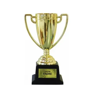 Copa Trofeo Mejor Padre
