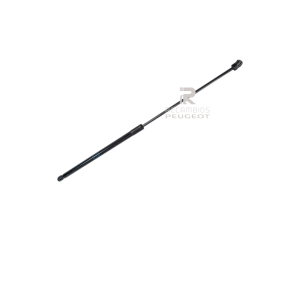 Amortiguador del Capot Peugeot 306