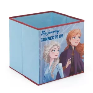 Contenedor Cubo Frozen